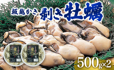  牡蠣 坂越かき 剥き牡蠣 500g×2[ 生牡蠣 かき カキ むき身 剥き身 生食 冬牡蠣 ]