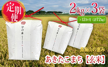 《定期便》6kg×12ヶ月 秋田県産 あきたこまち 玄米 2kg×3袋 神宿る里の米「ひの米」（お米 小分け 1年）