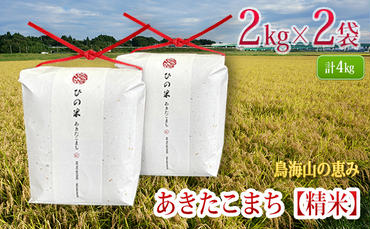 秋田県産 あきたこまち 精米 4kg（2kg×2袋）神宿る里の米「ひの米」（お米 小分け）