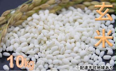 東かがわ市産もち米（クレナイ）玄米10kg【令和6年産】自家栽培米