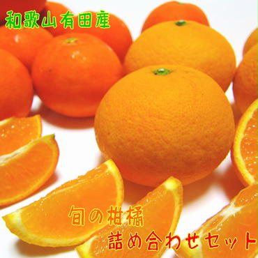 AB7060n_【先行予約】有田育ちの 濃厚柑橘 詰め合わせセット 【訳あり 家庭用】8kg
