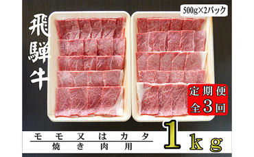 [3ヶ月定期便]A5ランク飛騨牛赤身肉焼き肉用1kg(モモ又はカタ)
