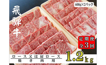 [3ヶ月定期便]A5ランク飛騨牛焼き肉1.2kg(ロース又は肩ロース)