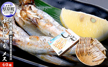 北海道産 干ししゃも メス40尾  北海道 干物 ひもの 魚 ししゃも シシャモ