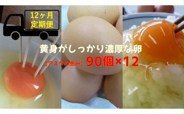 U-9 ◆12ヵ月定期便◆ 黄身がしっかり濃厚な卵【アスタの恵み】90個×12