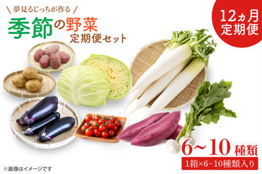 CN-8 【12ヶ月定期便】 夢見るじっちが作る季節の野菜セット 6～10種類入り1箱