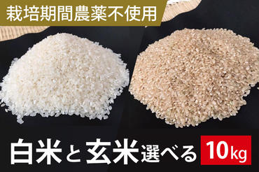 BI-61【栽培期間農薬不使用】白米または玄米　10kg
