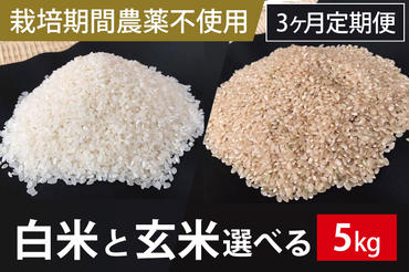 BI-63 3ヶ月定期便【栽培期間農薬不使用】白米または玄米　5kg×3回