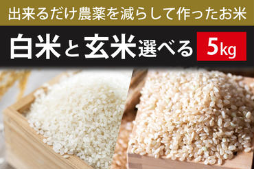 BI-72 【できるだけ農薬を減らして作ったお米】白米または玄米　5kg