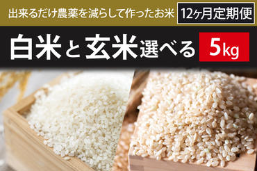 BI-80 12ヶ月定期便【できるだけ農薬を減らして作ったお米】白米または玄米　5kg×12回