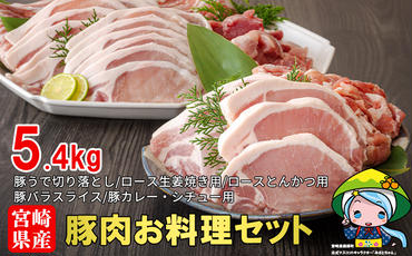 宮崎県産豚肉お料理セット5.4kg