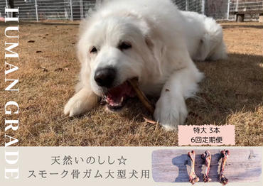 FB143 大型犬向け☆天然いのししのスモーク骨ガム3本【定期便】全6回