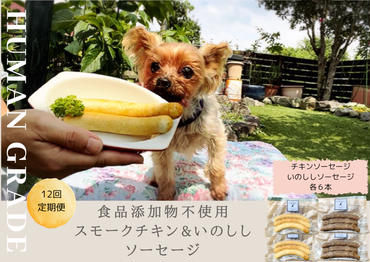 FB022 　犬の無添加おかず☆燻製の香りがたまらないスモークチキン＆いのししソーセージ【12回定期便】
