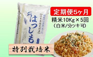 特別栽培米★[定期便] 5カ月★毎月 精米10kg（白米/7分/5分ツキ可）【ハツシモ】　玄米は別に出品