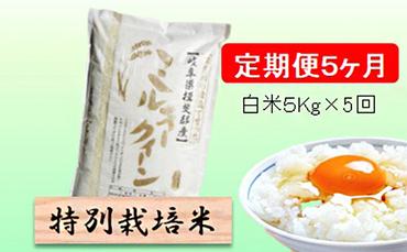 特別栽培米★[定期便] 5カ月★毎月 白米５kg 【ミルキークイーン】