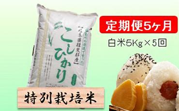 特別栽培米★[定期便] 5カ月★毎月 白米５kg 【コシヒカリ】