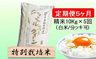 特別栽培米★[定期便] 5カ月★毎月 精米10kg（白米/7分/5分ツキ可）【ミルキークイーン】　玄米は別に出品