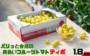 パリッと食感の黄色いフルーツトマト「ティポ」1.8kg（1箱）ジャム さっぱり 黄色い トマト