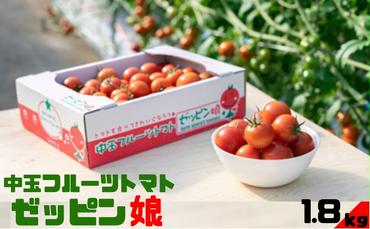 中玉フルーツトマト「ゼッピン娘」1.8kg（1箱） 希少な品種 華おとめ 甘い