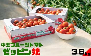中玉フルーツトマト「ゼッピン娘」1.8kg×2箱（計3.6kg） 希少な品種 華おとめ 甘い