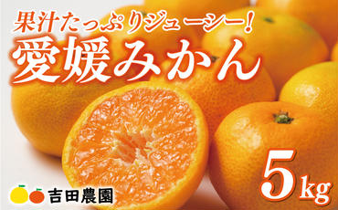 先行予約 愛媛みかん 5kg 12000円 愛媛 みかん 温州みかん こたつ みかん mikan 蜜柑 ミカン 家庭用 贈答用 ギフト プレゼント お歳暮 産地直送 国産 農家直送 糖度 期間限定 数量限定 特産品 ゼリー ジュース アイス 人気 限定 甘い フルーツ 果物 柑橘 先行 事前 予約 受付 ビタミン 美味しい おいしい 愛南町 愛媛県 吉田農園