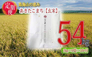 《定期便》18kg×3ヶ月 秋田県産 あきたこまち 玄米 2kg×9袋 神宿る里の米「ひの米」（お米 小分け）