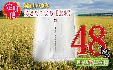 《定期便》16kg×3ヶ月 秋田県産 あきたこまち 玄米 2kg×8袋 神宿る里の米「ひの米」（お米 小分け）