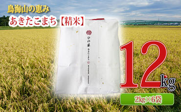 秋田県産 あきたこまち 精米 12kg（2kg×6袋）神宿る里の米「ひの米」（お米 小分け）
