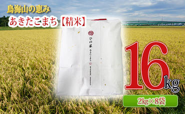 秋田県産 あきたこまち 精米 16kg（2kg×8袋）神宿る里の米「ひの米」（お米 小分け）