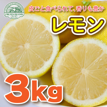 フルーツアイランド・マルエム直販のレモン 3kg