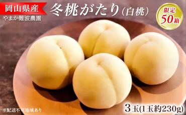 【限定50箱】冬桃がたり（白桃）約230g×3玉 岡山県 フルーツ もも 桃 モモ ピーチ 人気 新鮮 フルーツ 桃 デザート フルーツ もも モモ ギフト くだもの 桃 もも 果物 桃 もも やまか難波農園