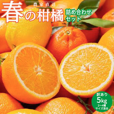 AN6106n_春の柑橘詰め合わせ訳あり5kgサイズ混合（2025年2月下旬より順次発送）