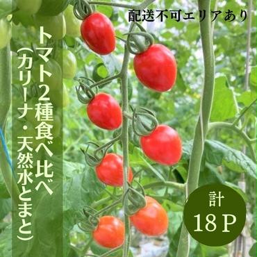 トマト 2種 食べ比べ （ カリーナ ・ 天然水トマト ）計18パック