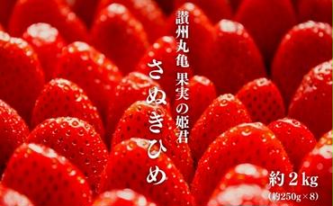讃州丸亀 果実の姫君 さぬきひめ苺 8パック（約2kg）JA香川県