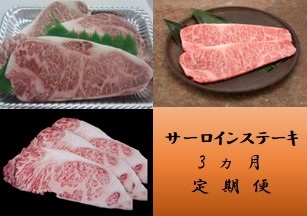 DV066_佐賀県産和牛サーロインステーキ　3回定期便
