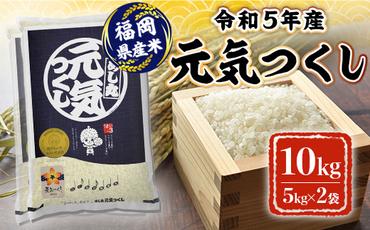 米 10kg 令和5年産 元気つくし 福岡県産 お米