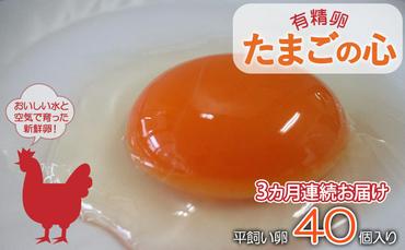 ◆3ヵ月連続お届け◆ 定期便 北海道伊達「太陽の園」の平飼たまご（有精卵）たまごの心 40個 Lサイズ