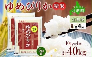 北海道 定期便 4ヵ月連続4回 令和6年産 ゆめぴりか 5kg×2袋 特A 精米 米 白米 ご飯 お米 ごはん 国産 ブランド米 肉料理 ギフト 常温 お取り寄せ 産地直送 送料無料 