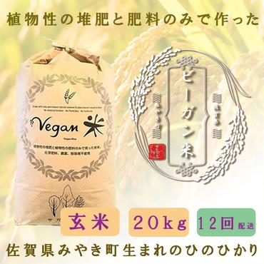 CQ034_【12か月定期便】ビーガン米20kg　玄米【植物性で育てた完全無農薬のサガンベジブランド】