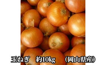 先行予約【晴れの国ファーム】玉ねぎ　約10kg（岡山県産）
