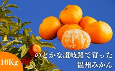 のどかな讃岐路で育った温州みかん 約10kg【11月中旬以降発送開始】