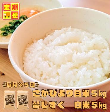 CI401_【白米食べ比べ！】さがびより５kg夢しずく５kg【５回定期便】