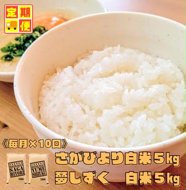 CI368_【白米食べ比べ！】さがびより５kg夢しずく５kg【１０回定期便】