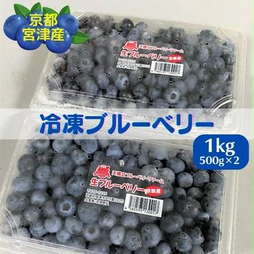京都 天橋立産 冷凍 ブルーベリー 1kg（500g×2パック）