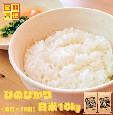CI371_【１０回定期便】ヒノヒカリ白米１０ｋｇ（５ｋｇ×２袋）