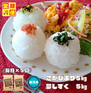 CI406_【無洗米食べ比べ！】さがびより５kg夢しずく５kg【５回定期便】
