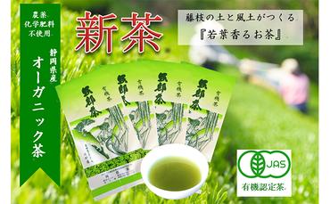 【先行予約】 2024年度産 新茶 若葉の香りのオーガニック茶4本 発送：2024年5月22日～順次
