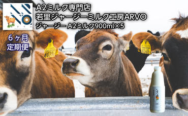 【6ヶ月定期便】ジャージー牛 A2ミルク 900ml×5本【ARVO】 北海道 オホーツク 佐呂間町 ドリンク 牛乳 ミルク 乳飲料 乳製品 定期便