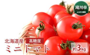 北海道産 高糖度ミニトマト 約3kg＜2024年7月中旬～順次出荷＞｜トマト とまと ミニトマト みにとまと 野菜 やさい 2024年発送 令和6年発送 糖度 先行受付