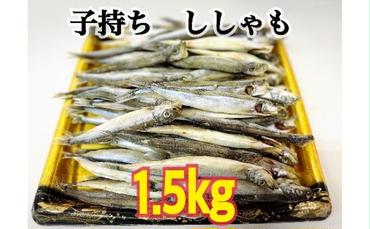 子持ち ししゃも　1.5kg 魚貝類 大型サイズ ボリューム 小分け パック バラ凍結 丸かじり カルシウム 便利 卵 